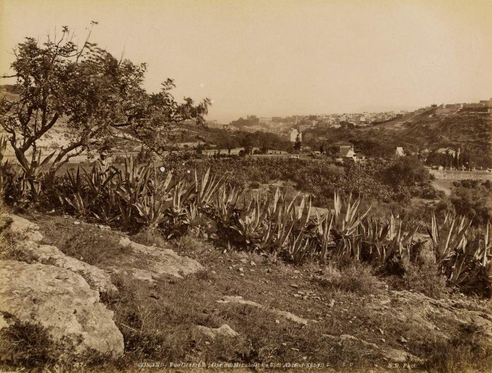 Oran 048.jpg